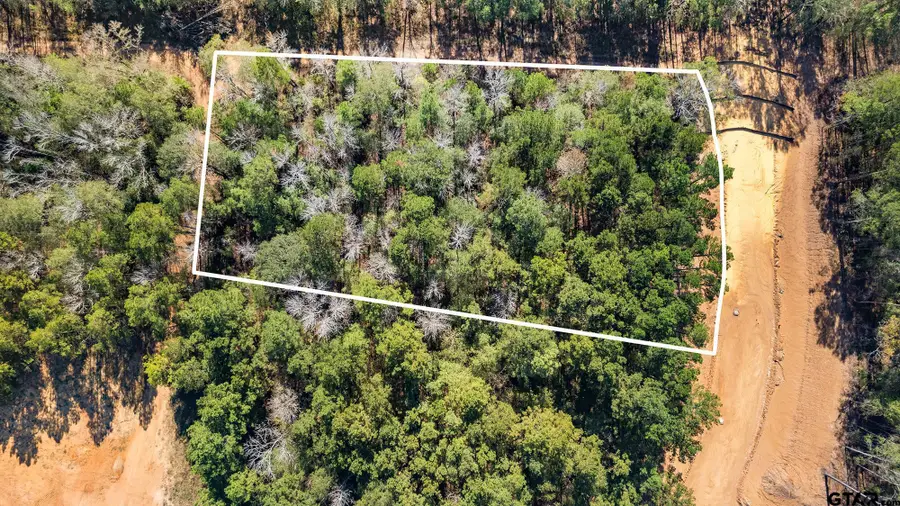 7248 Cherryhill Dr, Tyler, TX 75703 - Image #3