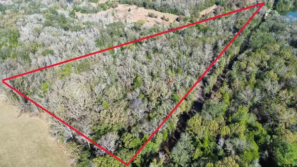 TBD Lot 2 Vz County Road 4134, Canton, TX 75103