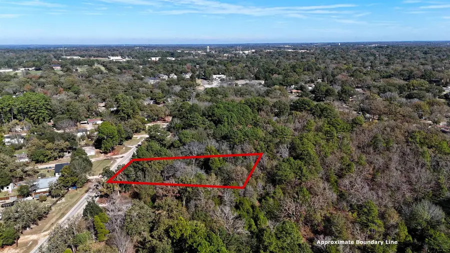905 Cayuga Drive, Athens, TX 75751 - #3