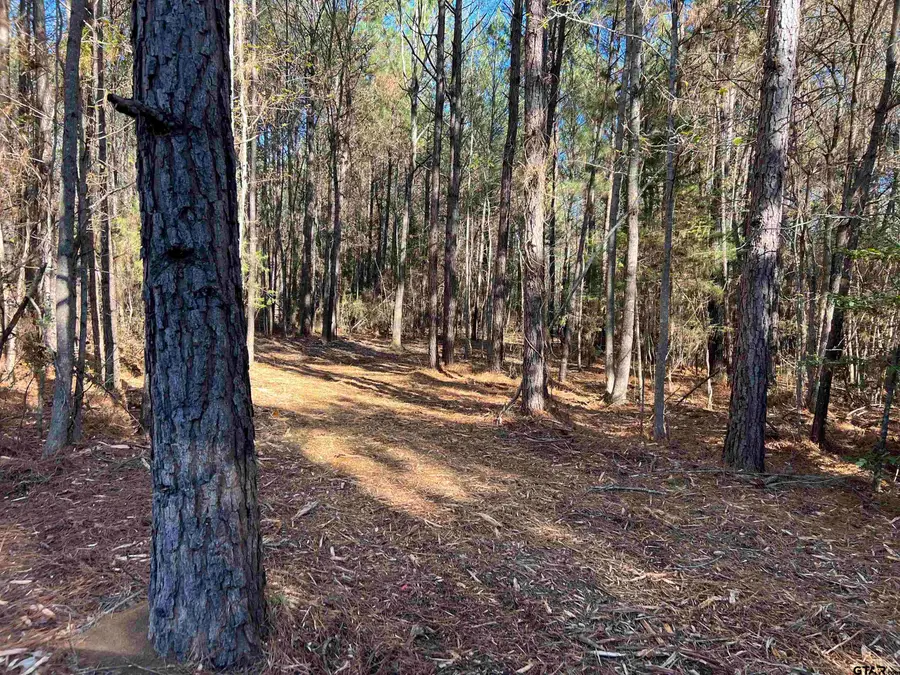 TBD FM 130, Hughes Springs, TX 75656 - Image #2