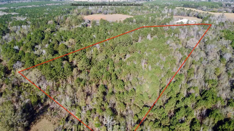 TBD FM 130, Hughes Springs, TX 75656 - Image #3