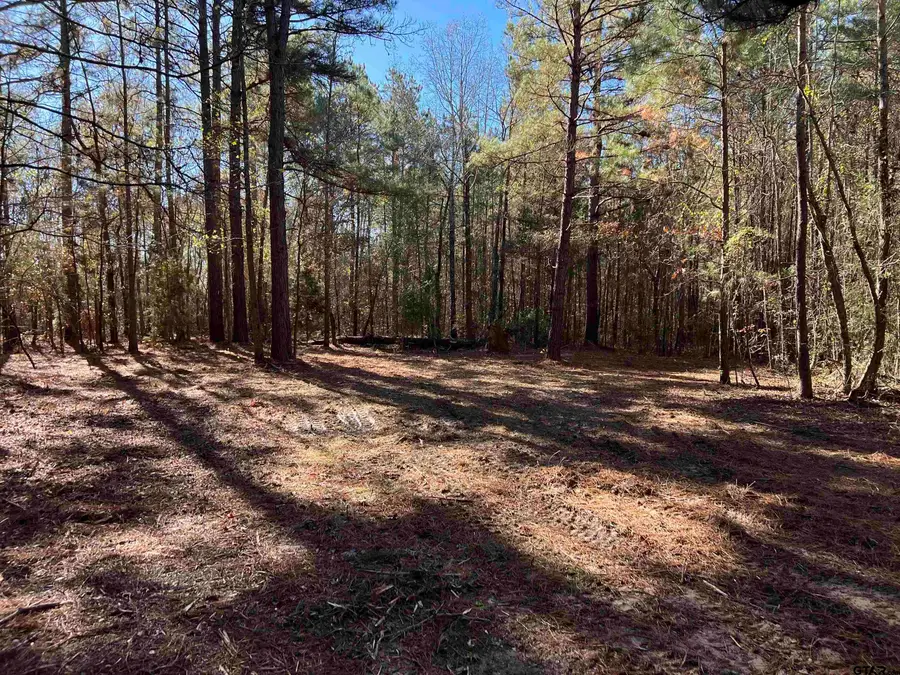 TBD CR 2921, Hughes Springs, TX 75656 - Image #2