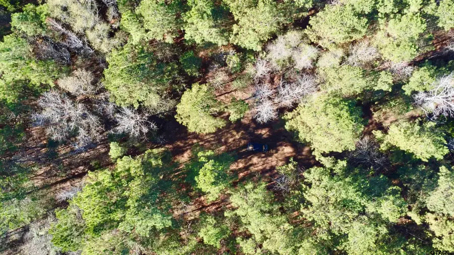 TBD CR 2921, Hughes Springs, TX 75656 - Image #3