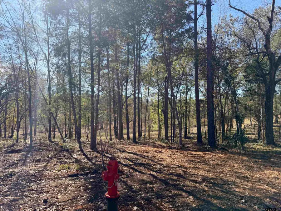 10719 Portside Circle, Tyler, TX 75708 - Image #3