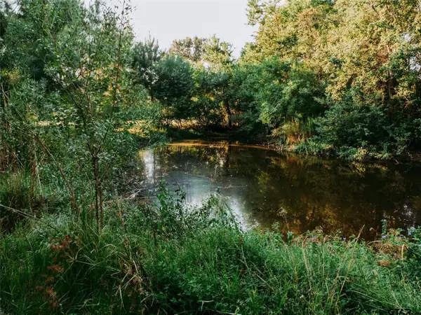 1609 County Road 2626, Wells, TX 75976