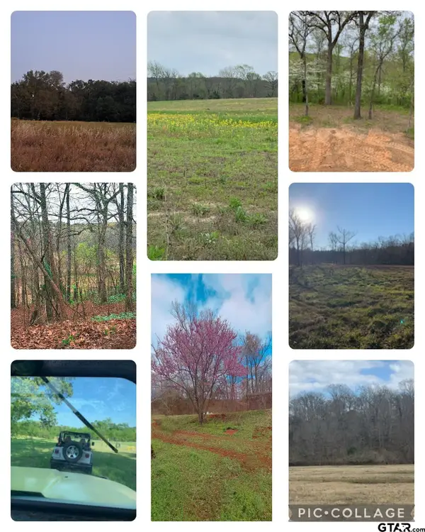 10774 County Road 494, Tyler, TX 75706