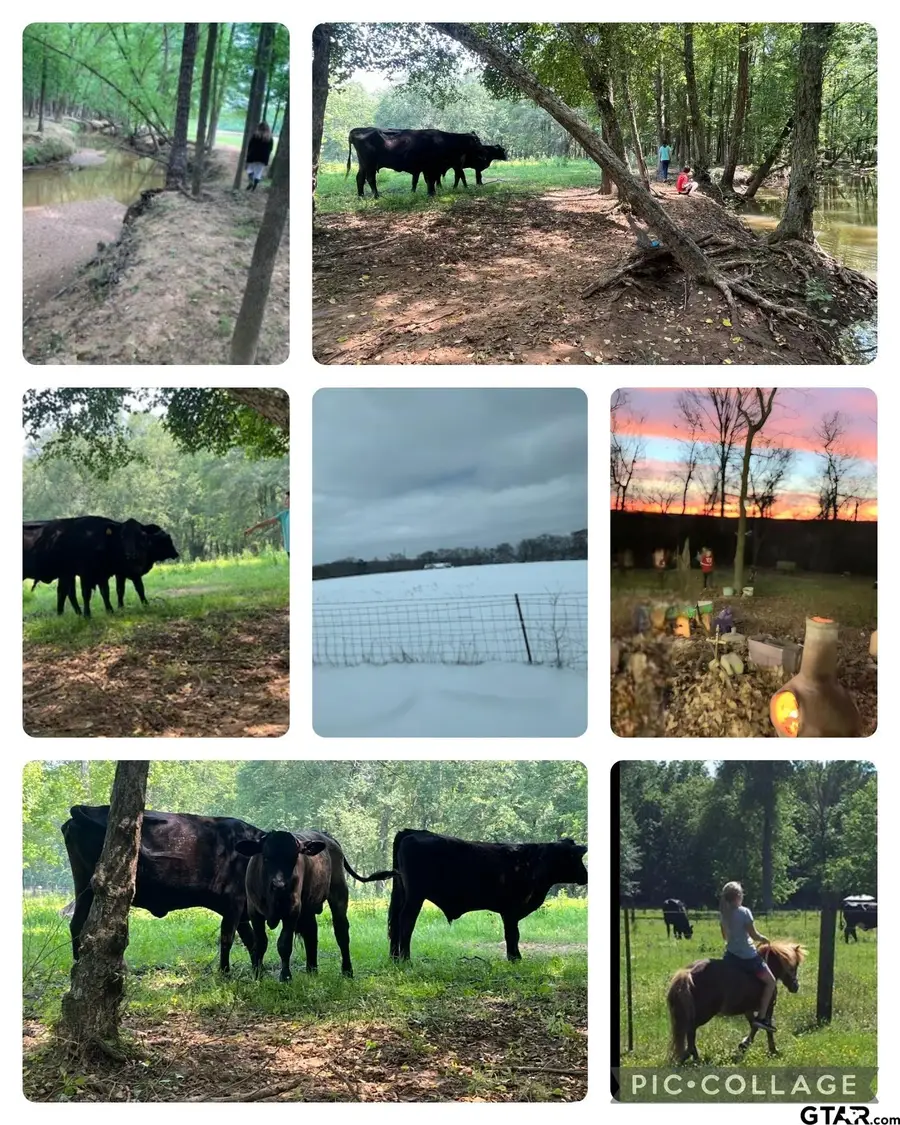 10774 County Road 494, Tyler, TX 75706 - Image #2