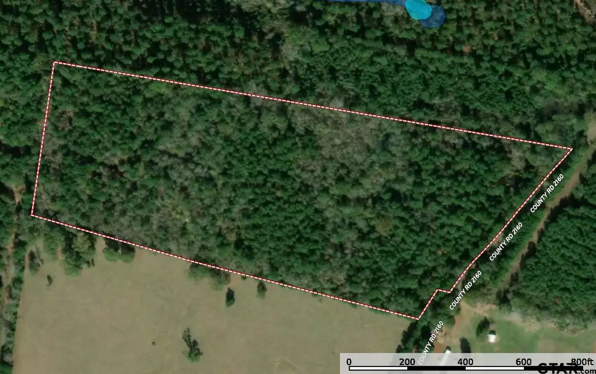 20923 County Road 2160, Troup, TX 75789 - Image #1