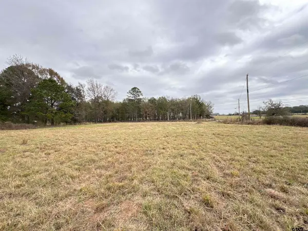 TBD CR 4301 Plainview Rd, Omaha, TX 75571