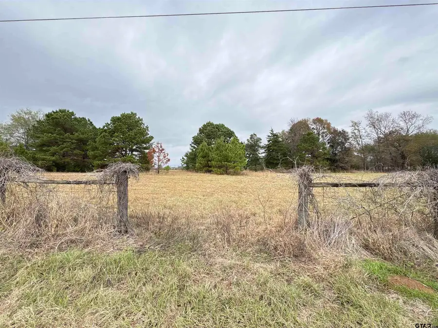 TBD CR 4301 Plainview Rd, Omaha, TX 75571 - Image #2