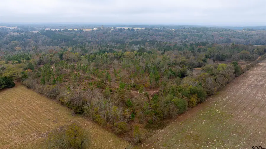 000 County Road 3272, Frankston, TX 75763 - Image #2