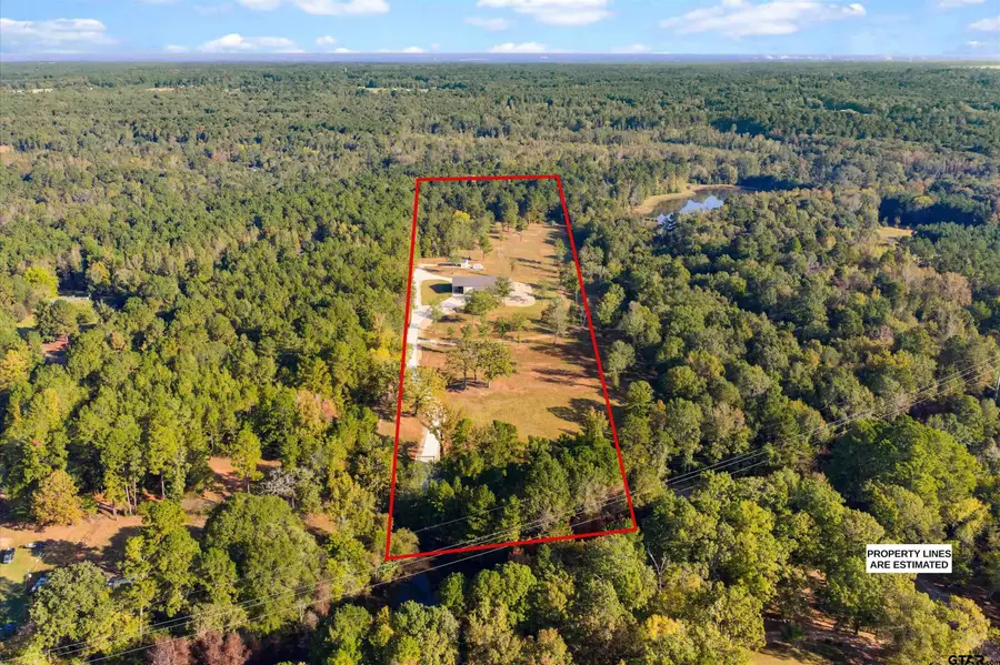 6161 County Road 291, Kilgore, TX 75662 - Image #3