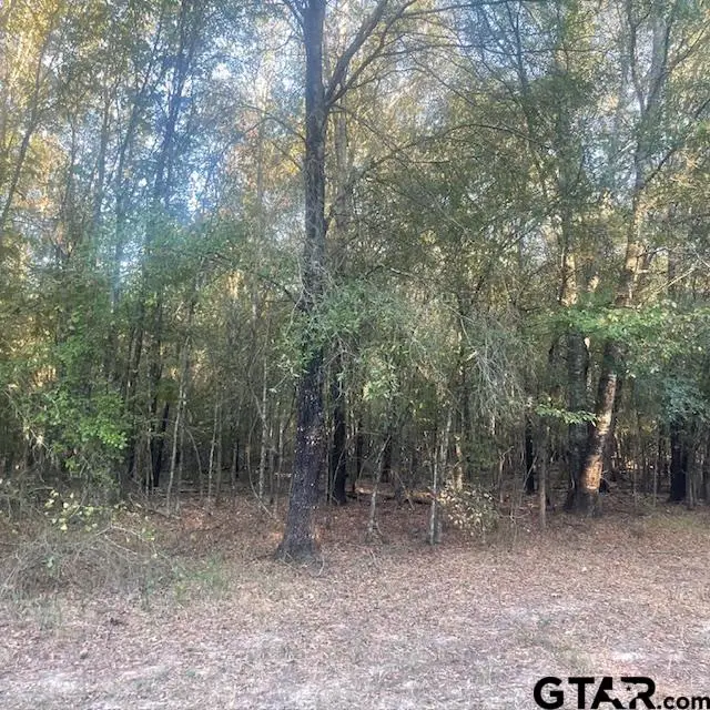 TBD County Road 1880, Mineola, TX 75773 - Image #3