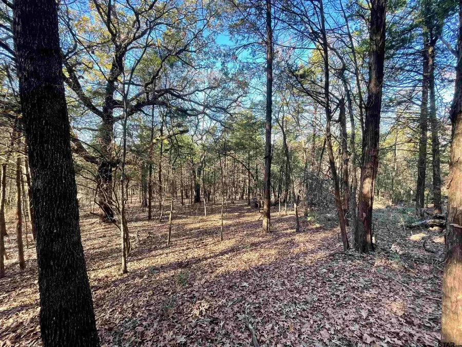 TBD CR 471, Tyler, TX 75706 - Image #3