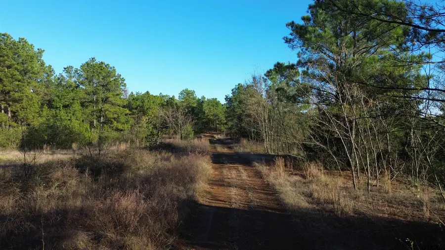 1204 Vance St, Hughes Springs, TX 75656 - Image #3