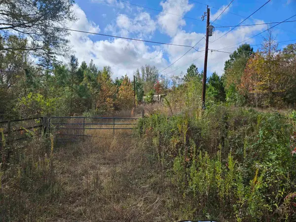 1225 County Rd 317, Tyler, TX 75706