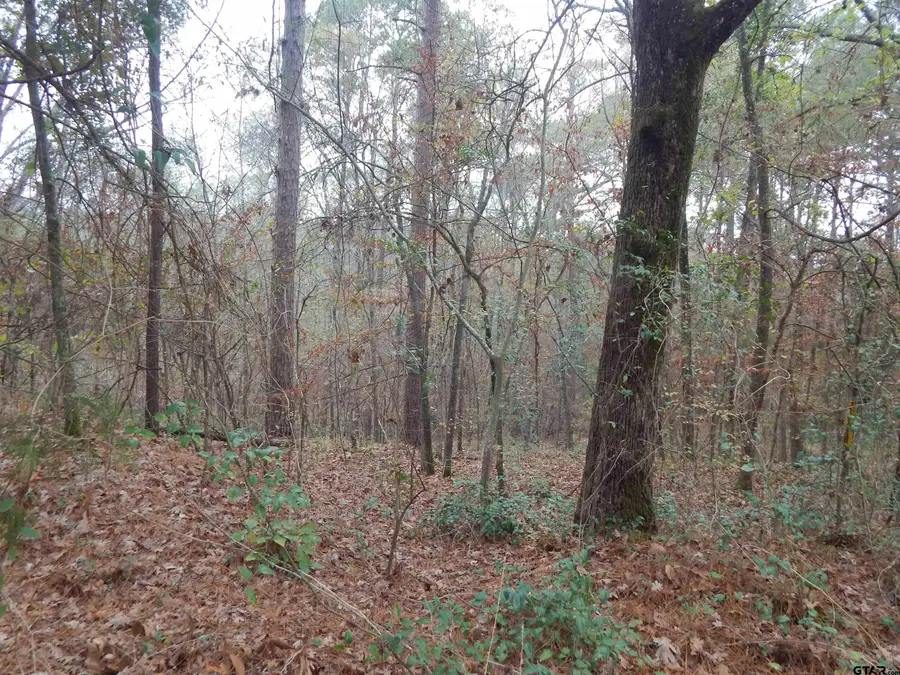 TBD ASHWOOD, Gilmer, TX 75645 - Image #3