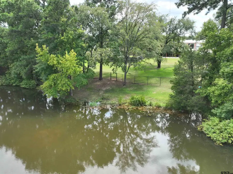 13165 Vicki Lynn Ln, Troup, TX 75789 - Image #3