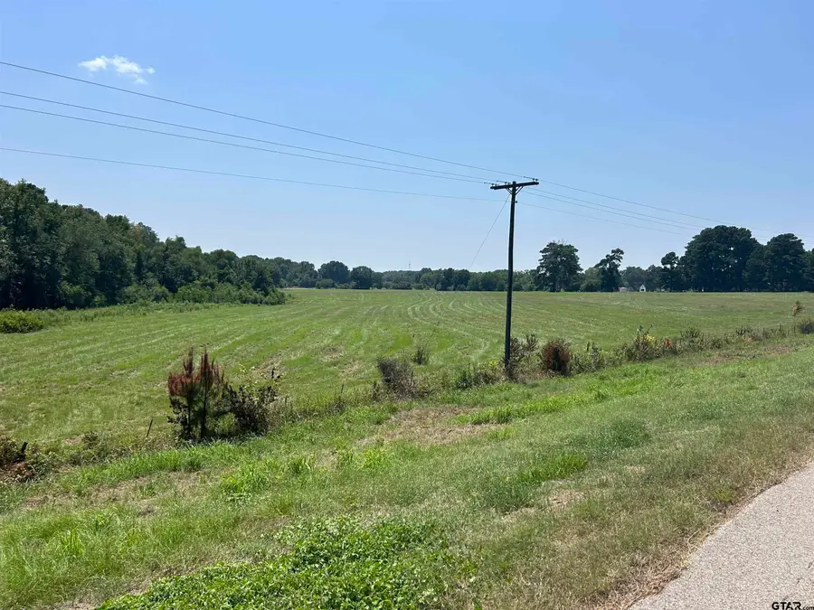 22173 HWY 135, Troup, TX 75789 - Image #3