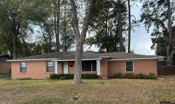 4119 Birdwell Drive, Tyler, TX 75703