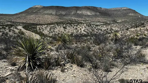 10 Trachyte Pid 21196, Terlingua,  79852
