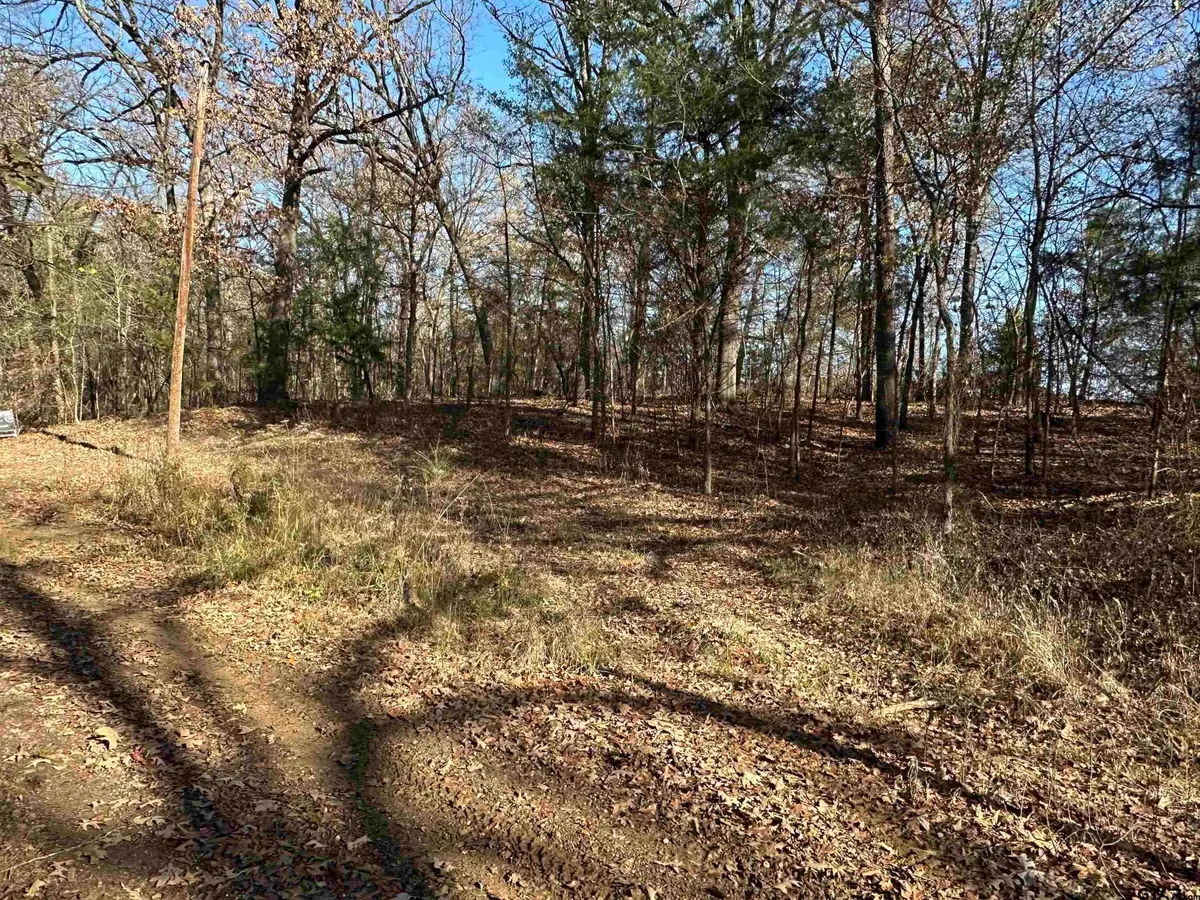 TBD CR 2614, Pittsburg, TX 75686 - Image #1