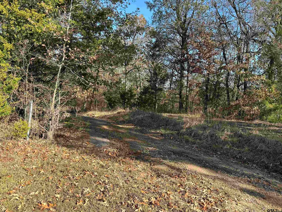 TBD CR 2614, Pittsburg, TX 75686 - Image #2