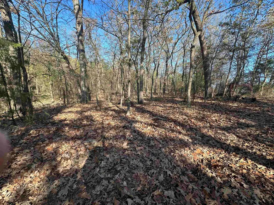 TBD CR 2614, Pittsburg, TX 75686 - Image #3