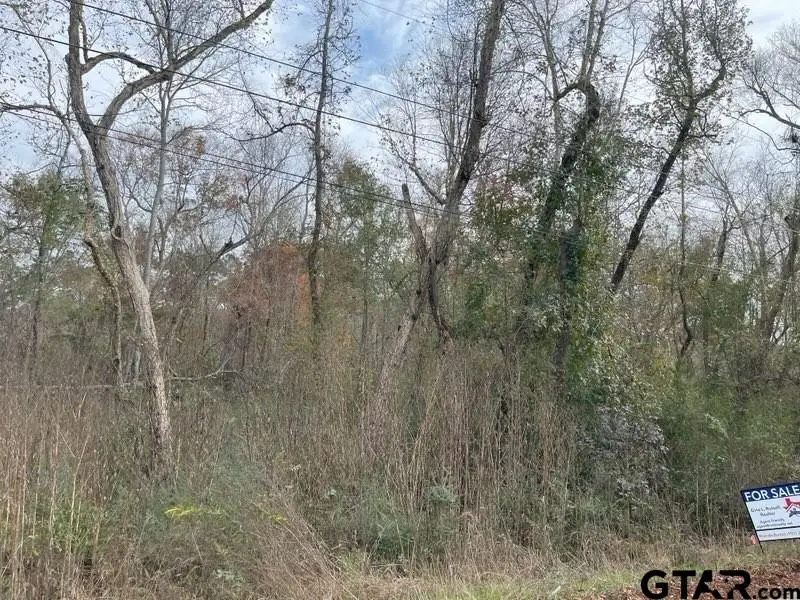 9707 W. Lakeshore Dr., Tyler, TX 75709 - Image #2