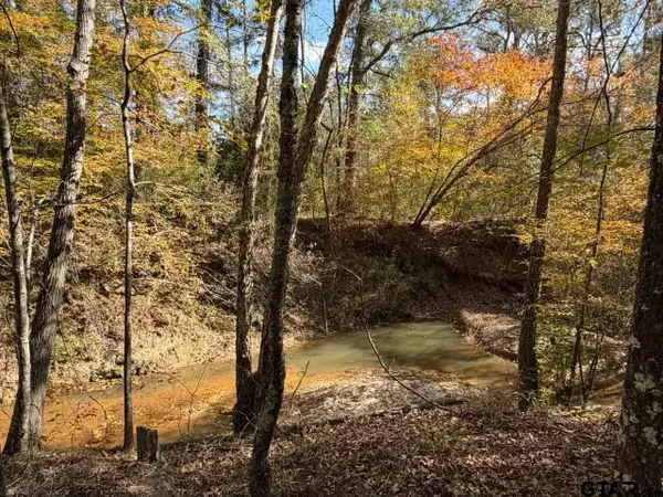 23791 Hwy 64E, Arp, TX 75750