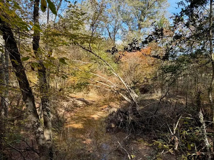 23791 Hwy 64E, Arp, TX 75750 - Image #3