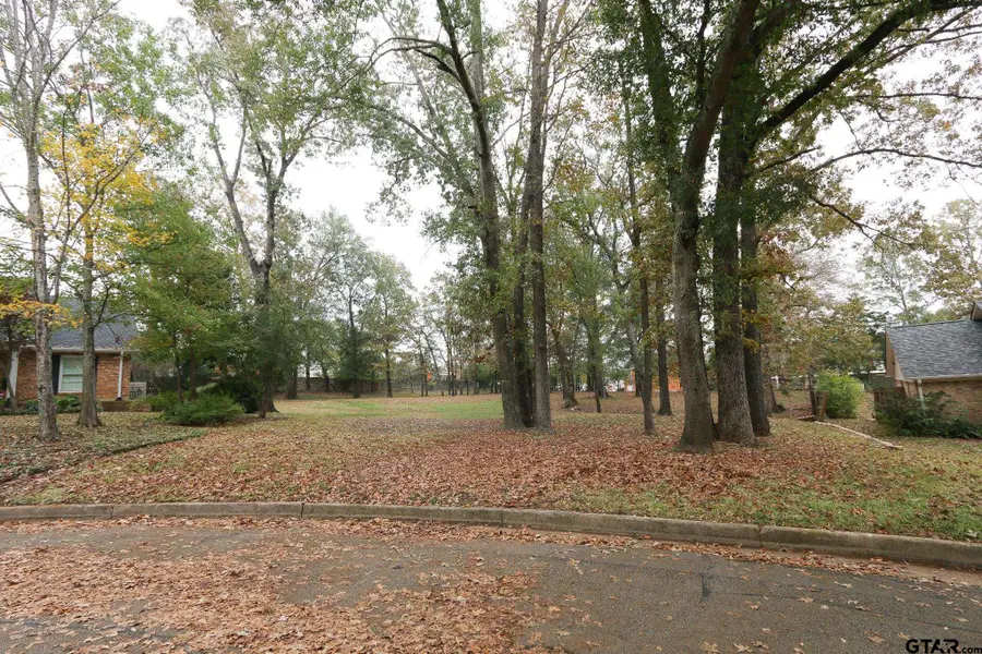 3140 Bracken Ave., Tyler, TX 75703 - Image #3