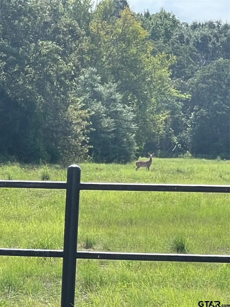 Tract 1 US HWY 175, Athens, TX 75752 - Image #2