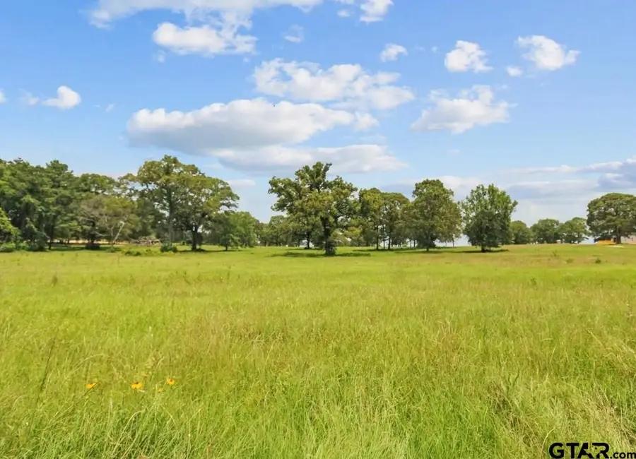 LOT 11 TBD Private Road 3398, Big Sandy, TX 75755 - Image #3