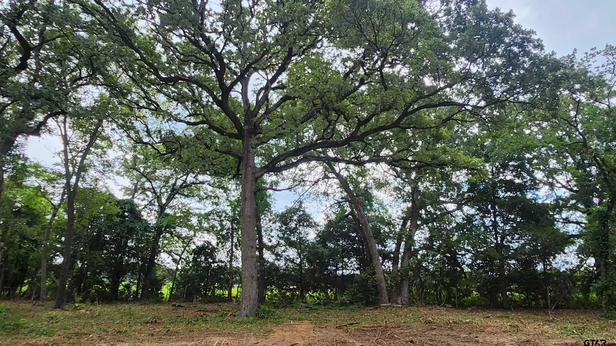 Lots 4,5,6 Holly Glen, Murchison, TX 75778 - Image #1