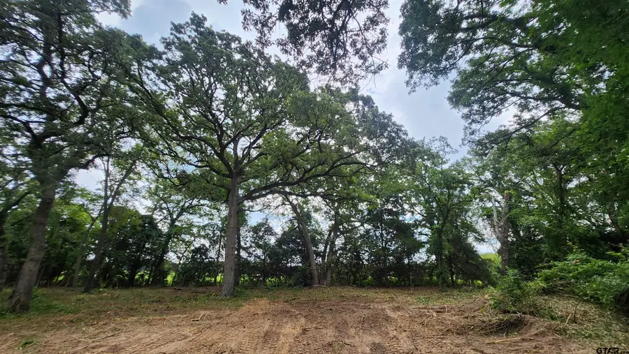 Lots 4,5,6 Holly Glen, Murchison, TX 75778 - Image #2