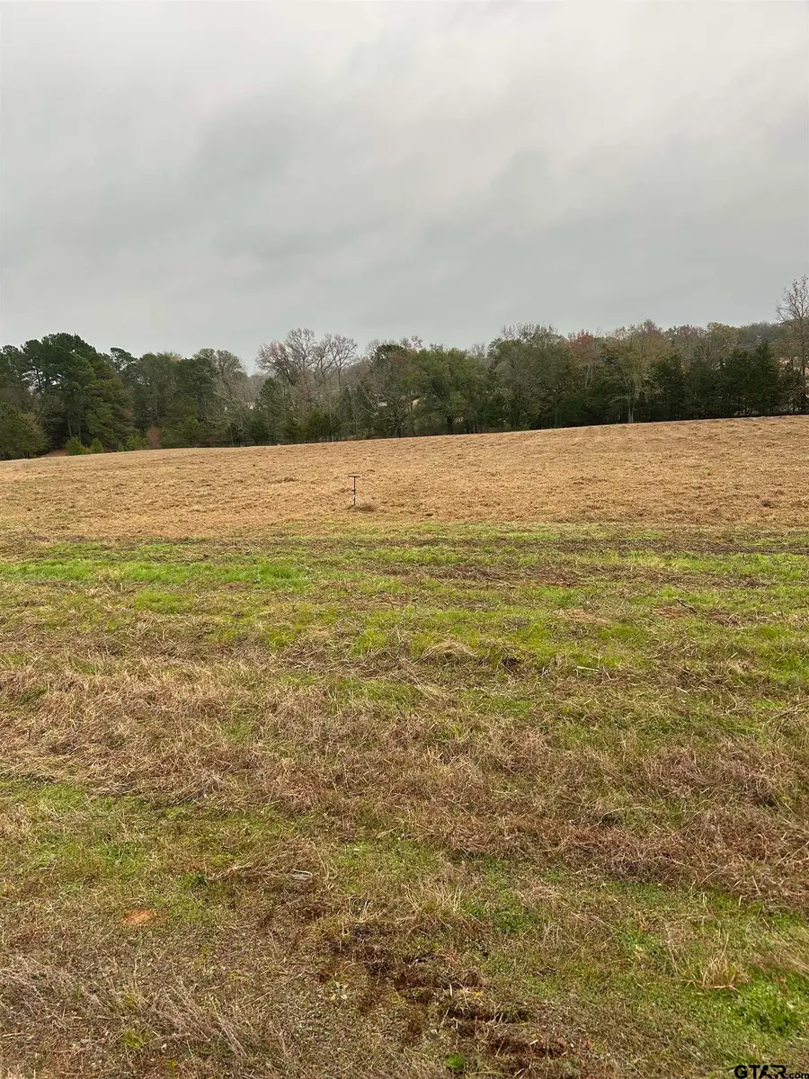 12729 Ridgeway Court, Winona, TX 75792 - Image #2