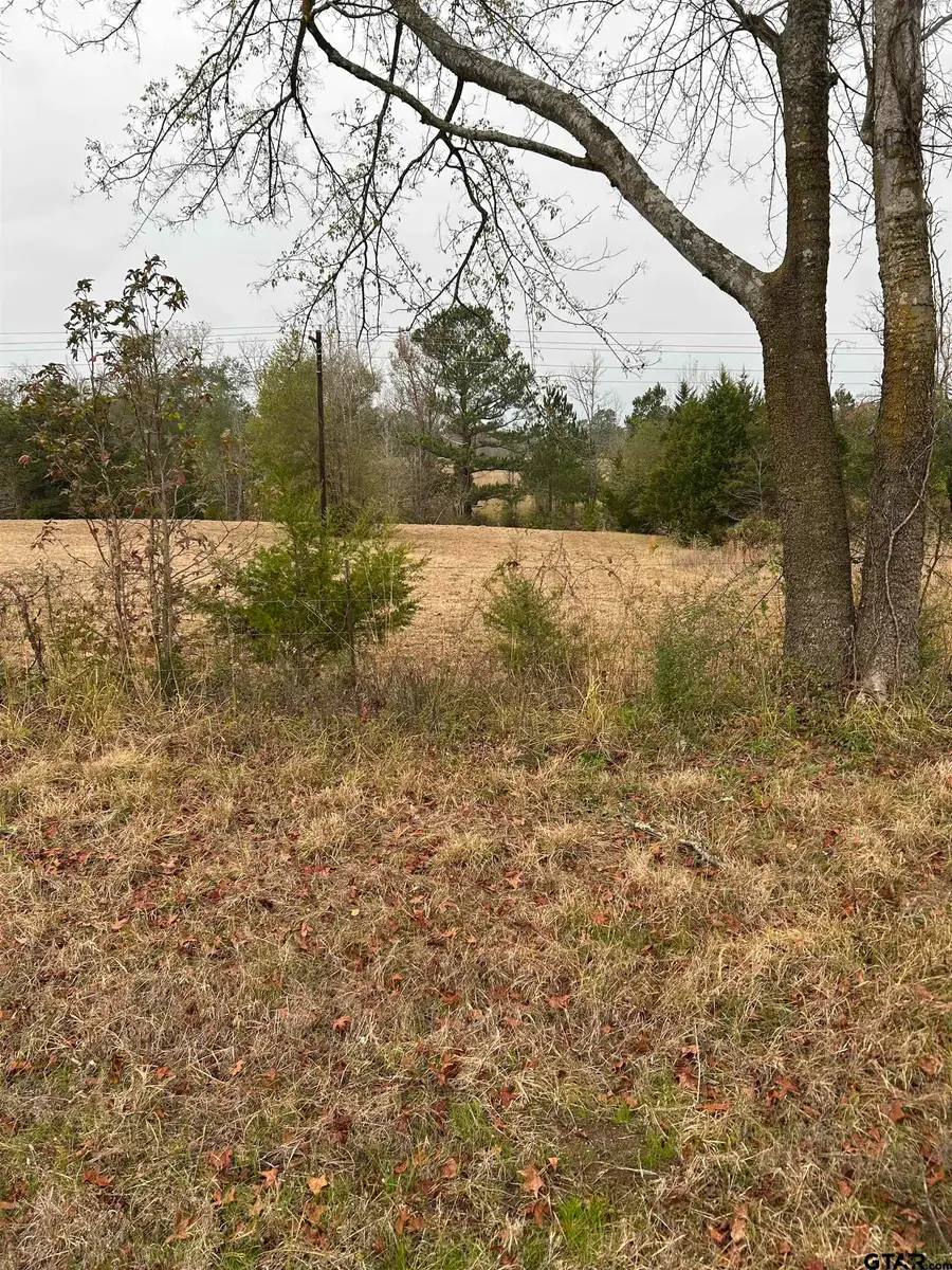 12729 Ridgeway Court, Winona, TX 75792 - Image #3