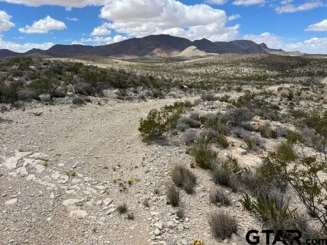 21231 Slate Springs, Study Butte, TX 79852 - #1