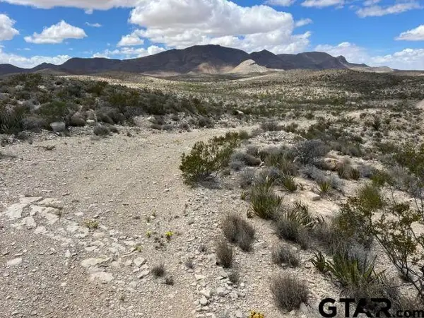21231 Slate Springs, Terlingua,  79852