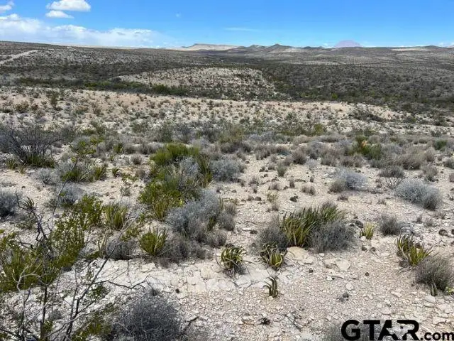 21231 Slate Springs, Study Butte, TX 79852 - #2