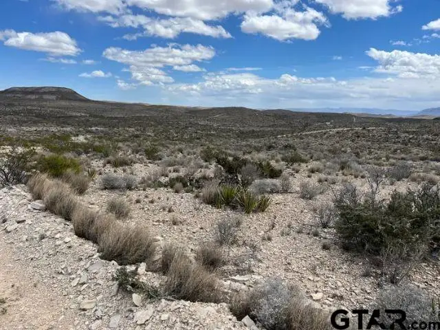 21231 Slate Springs, Study Butte, TX 79852 - #3