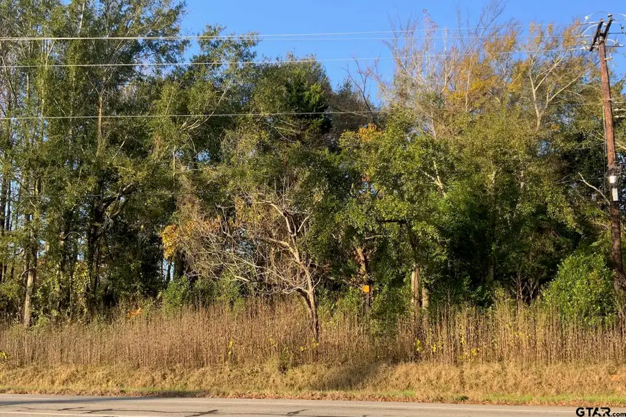 6313 Rhones Quarter Rd., Tyler, TX 75707 - Image #2