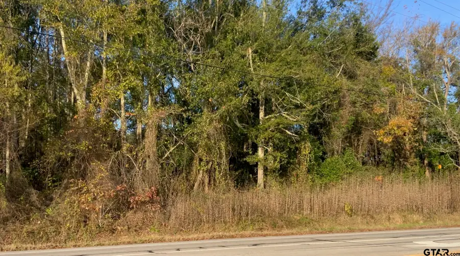 6313 Rhones Quarter Rd., Tyler, TX 75707 - Image #3