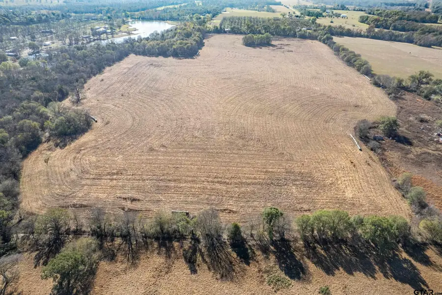 320 County Road 2160, Emory, TX 75440 - Image #3