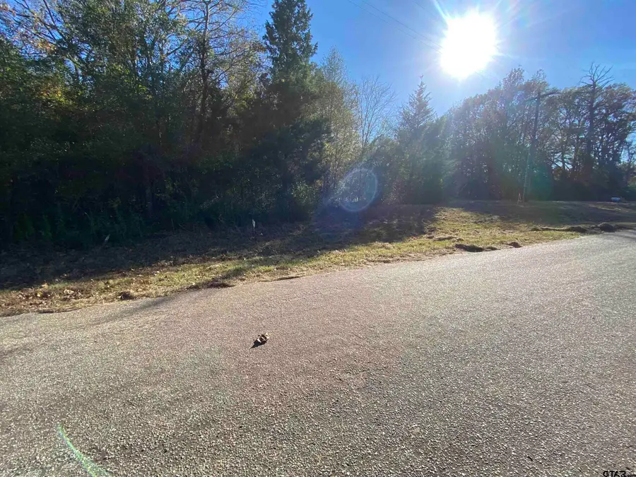 11684 Lot 2 CR 338, Lindale, TX 75771 - Image #2