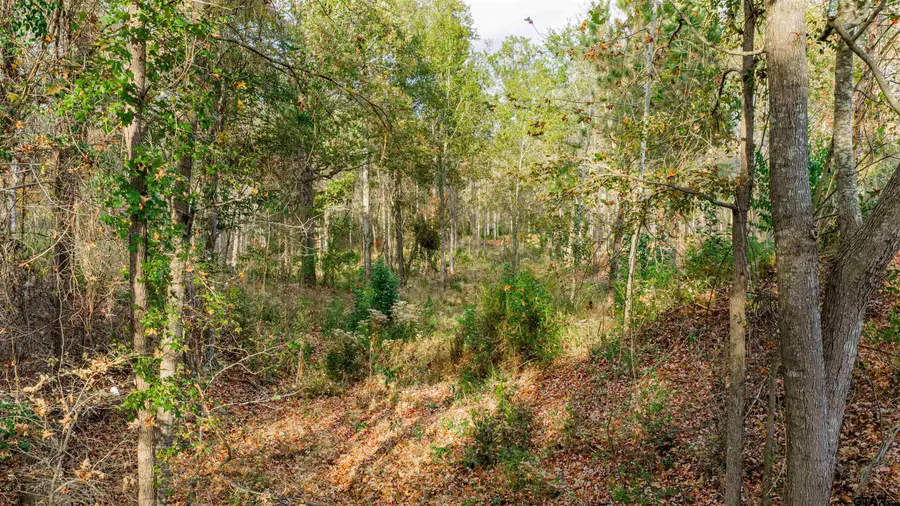 0000 Savannah Hills, Longview, TX 75605 - Image #2