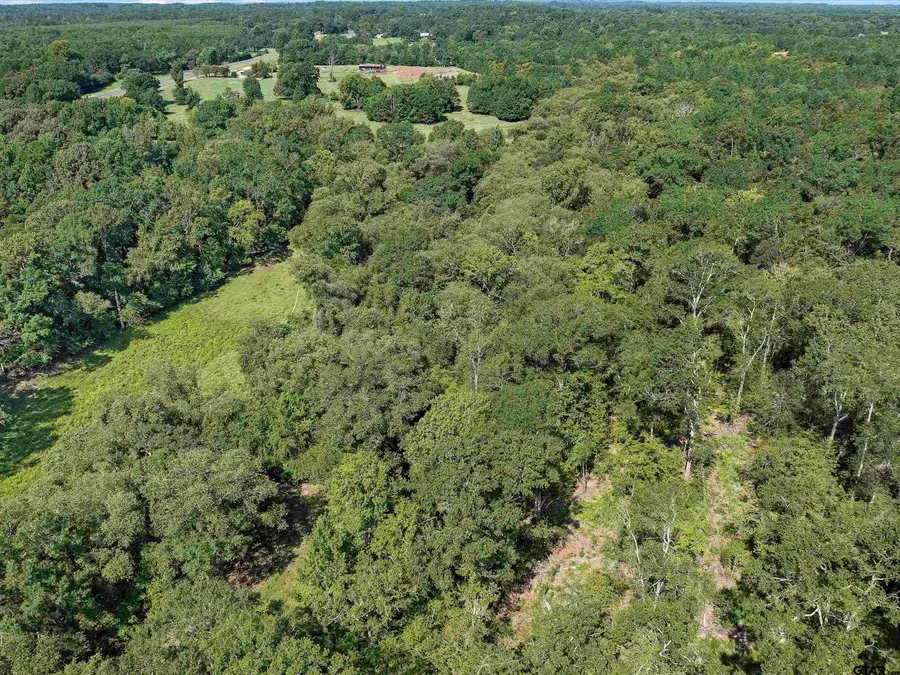 TBD E Hwy 79, Henderson, TX 75652 - Image #3