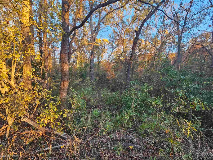 TBD CR 4108, Lindale, TX 75771 - Image #2