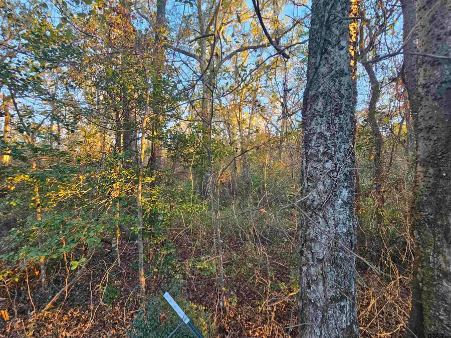 TBD CR 4108, Lindale, TX 75771 - Image #3